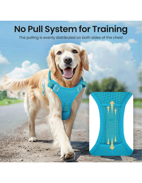 Arnés Iluminado para Perros Feycig Ajustable Azul S