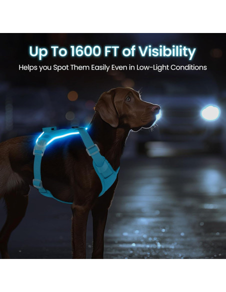 Arnés Iluminado para Perros Feycig Ajustable Azul S