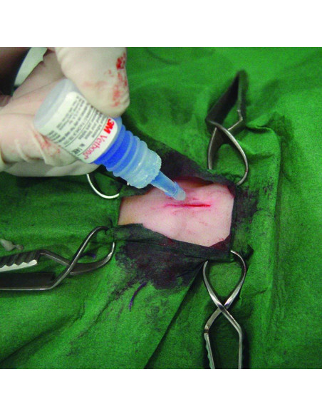 Adhesivo de Tejido Vetbond 3M 3ml para Cuidado Animal Adhesivo de Tejido Vetbond 3M 3ml para Cuidado Animal