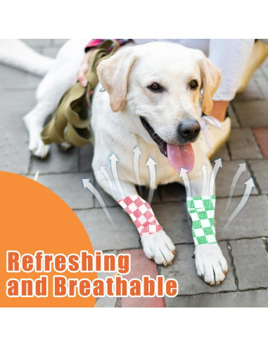 6 Rollos Vendaje Veterinario Kreyfer 5,08 cm x 4,57 m