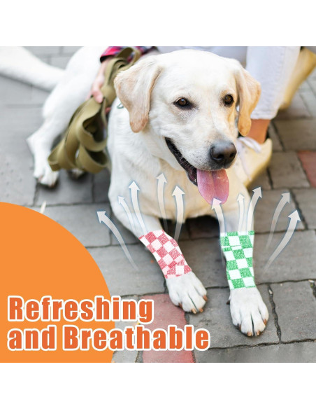 6 Rollos Vendaje Veterinario Kreyfer 5,08 cm x 4,57 m