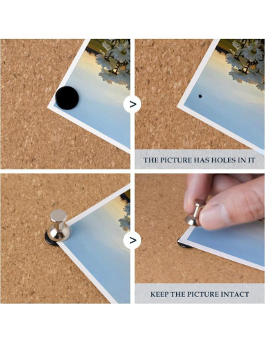 Set de 20 Chinchetas Magnéticas Rhinocats - Organizador de Pared