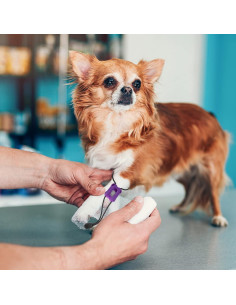 Torniquete para Perros 4pcs Banda Médica de Primeros Auxilios 2