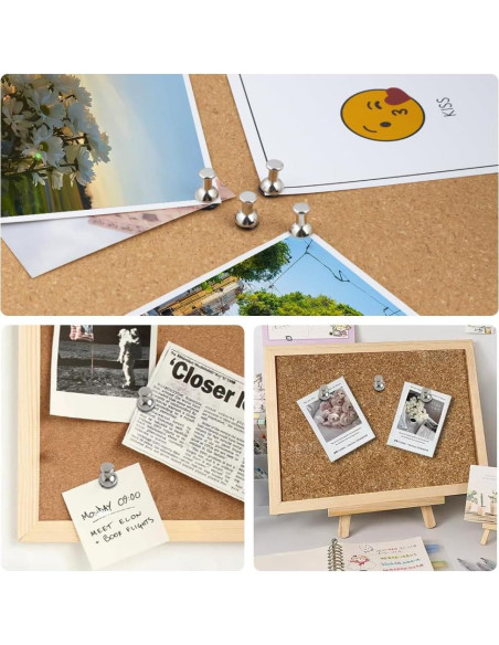 Set de 20 Chinchetas Magnéticas Rhinocats - Organizador de Pared