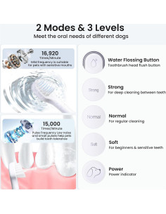 Kit de Cepillado Dental para Perros Bobopal 3 en 1 IPX7 2