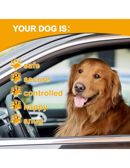 Arnés para Perros Mi Metty Cinturón Seguridad 100 CM Negro