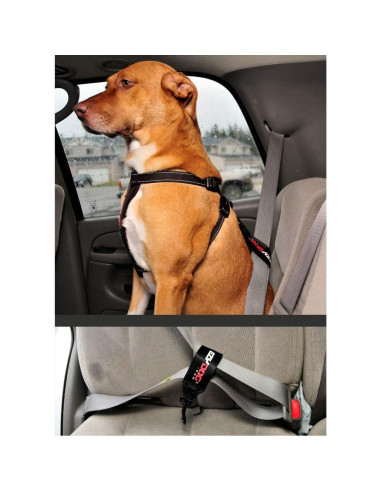 Cinturón de Seguridad para Perro EzyDog Universal 27.9x5.1cm