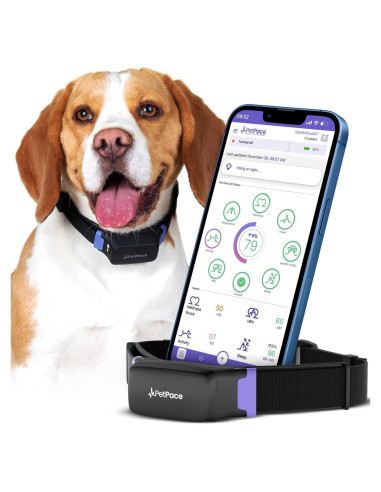 Collar Inteligente PetPace 2.0 Mediano para Perros - Monitoreo Salud