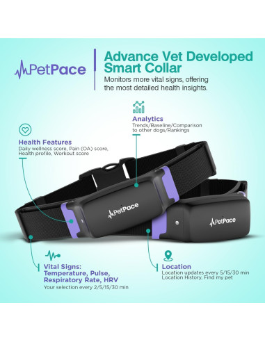 Collar Inteligente PetPace 2.0 Mediano para Perros - Monitoreo Salud