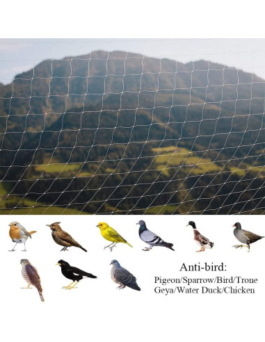 Red de Seguridad para Gatos JUMXSRLE 3x3 m Transparente