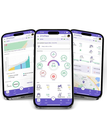 Collar Inteligente PetPace 2.0 Mediano para Perros - Monitoreo Salud Collar Inteligente PetPace 2.0 Mediano para Perros - Monitoreo Salud