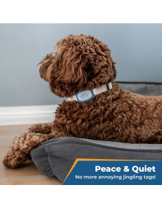 Placa Identificación Silenciosa GoTags para Perros Rosa Grande 2