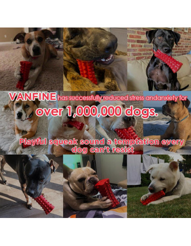 Juguete Indestructible para Perros VANFINE Rojo 15.91 cm