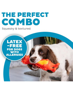 Juguete para Perros Erizo Grande Squeak Sin Látex 27.9cm 2