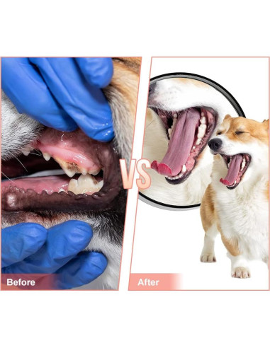 Juguete para Masticar Perros Mondotoy Pantufla Goma 13x5cm