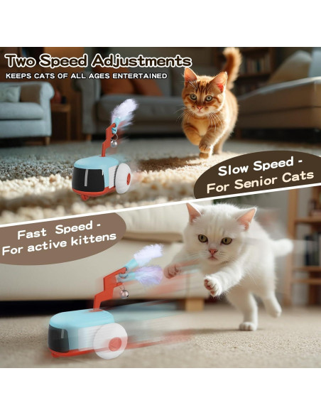 Juguete Automático para Gatos O WOWZON con Control Remoto