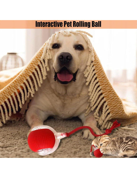 Pelota Interactiva para Perros Lfei 7,6 cm Carga Rápida