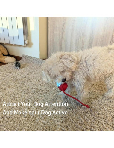 Pelota Interactiva para Perros Lfei 7,6 cm Carga Rápida