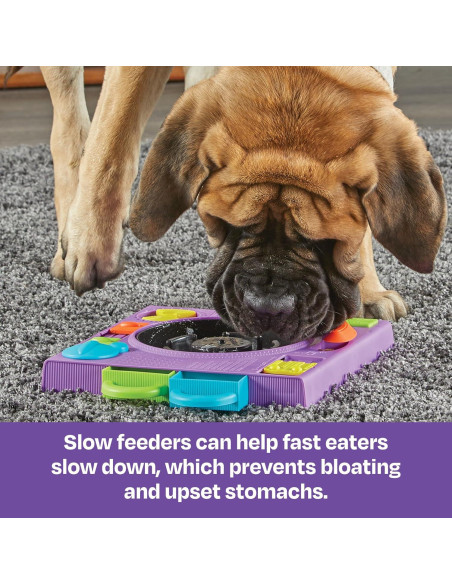 Rompecabezas Alimentador DJ Doggo Brightkins 2 en 1 para Perros