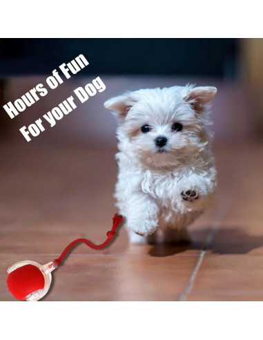 Pelota Interactiva para Perros Lfei 7,6 cm Carga Rápida