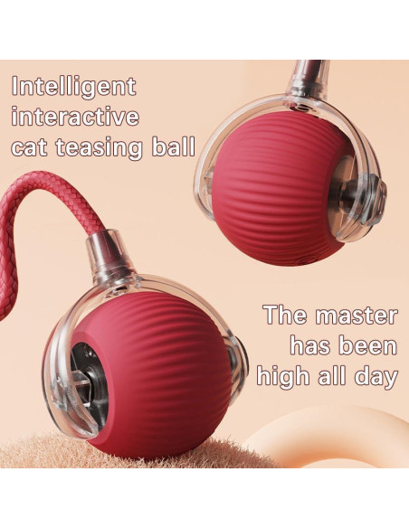 2 Paquetes Juguete Interactivo para Gatos y Perros AMATFFUG