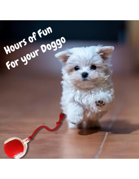 2 Paquetes Juguete Interactivo para Gatos y Perros AMATFFUG