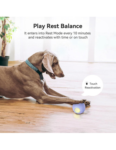 Bola Malvada PE Cheerble para Perros Medianos, Interactiva LED