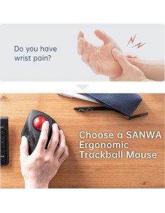 Ratón Ergonómico con Cable Sanwa GMATB137, Óptico, 44mm 2