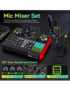 Paquete Micrófono BM800 y Interfaz de Audio USB 48V - Efectos de Voz 2