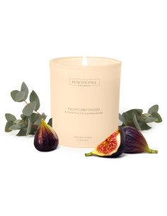 Vela Aromática Benevolence LA Eucalipto Higo Sándalo 226g