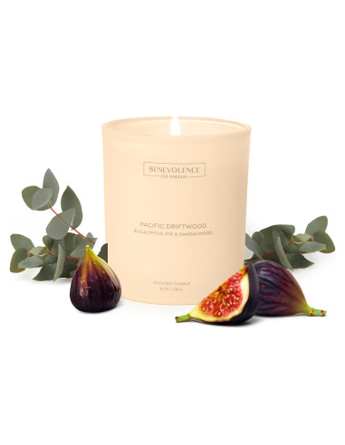 Vela Aromática Benevolence LA Eucalipto Higo Sándalo 226g