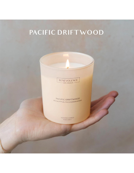 Vela Aromática Benevolence LA Eucalipto Higo Sándalo 226g