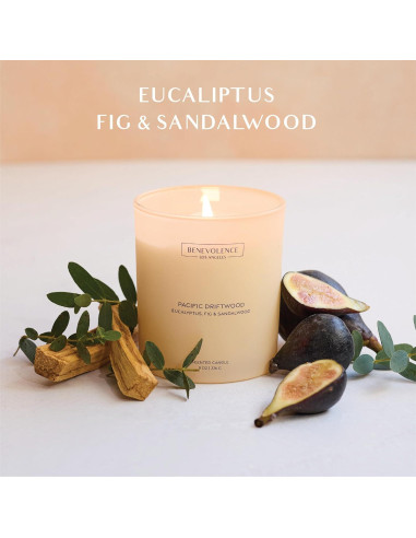 Vela Aromática Benevolence LA Eucalipto Higo Sándalo 226g