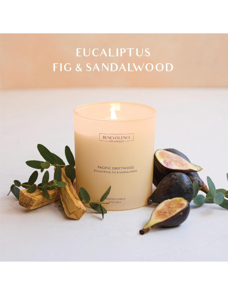 Vela Aromática Benevolence LA Eucalipto Higo Sándalo 226g