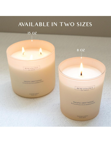 Vela Aromática Benevolence LA Eucalipto Higo Sándalo 226g