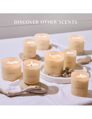 Vela Aromática Benevolence LA Eucalipto Higo Sándalo 226g