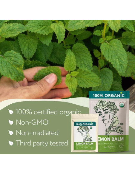 Té de Toronjil Orgánico Zhivana 113g - Antiestrés y Digestión