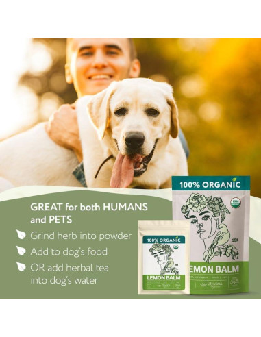 Té de Toronjil Orgánico Zhivana 113g - Antiestrés y Digestión