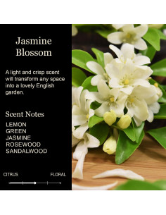 Vela Aromática de Soja 255g Cedar Crate - Flor de Jazmín 2