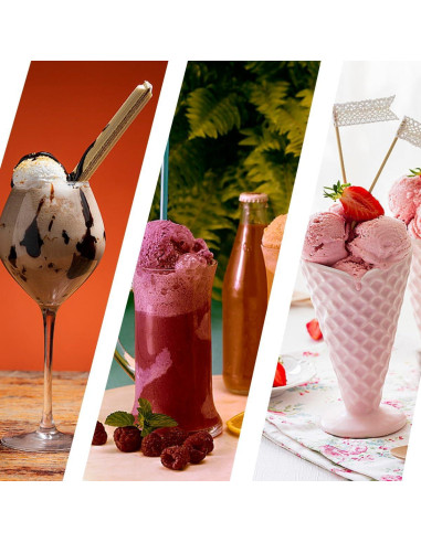 Paquete de 4 Recipientes Ninja 16oz para Helado NC300