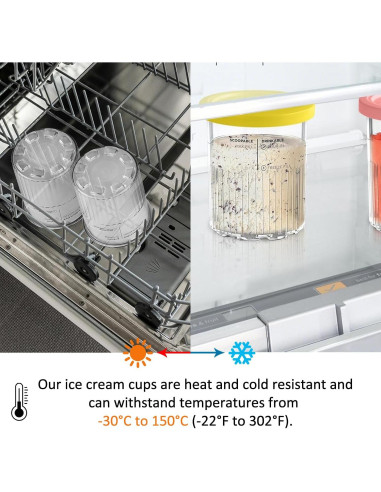 Diteje 4 Pints Recambio Helado 710ml con Tapas y Cucharas