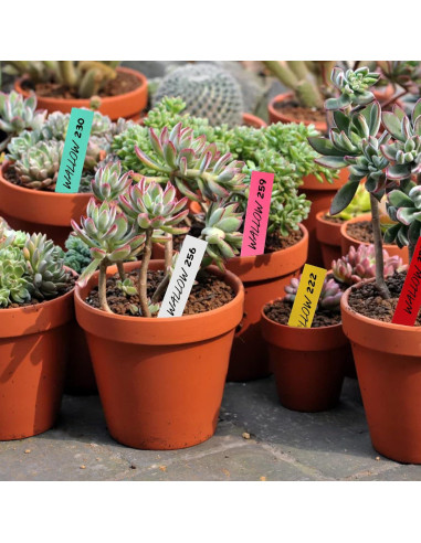 Etiquetas de Plantas Blancas 1000 Pcs Foraineam 10x2 cm