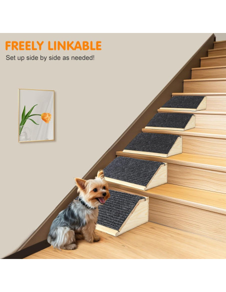Rampa para Perros VavoPaw Antideslizante Paquete de 2