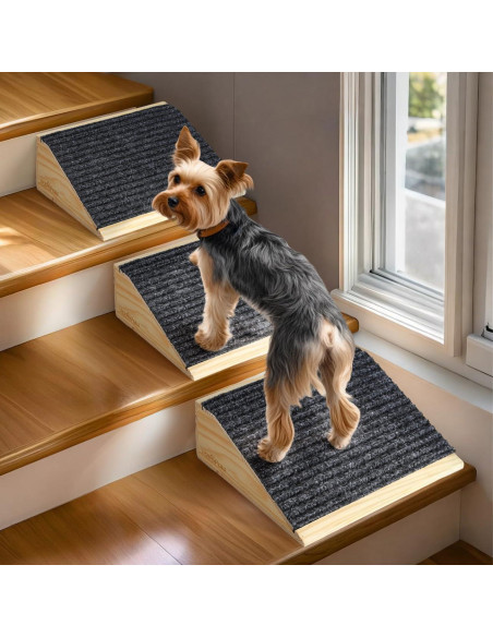 Rampa para Perros VavoPaw Antideslizante Paquete de 2