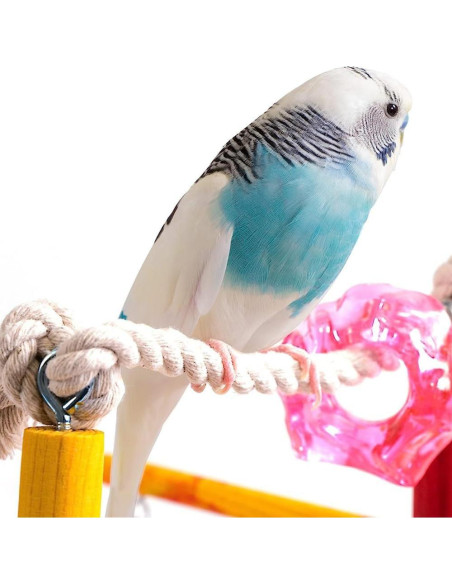 Parque de Aves Mediano Bird Life Penn-Plax para Periquitos