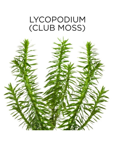 Jeringa de Bulbo Similasan para Remoción de Cerumen 1 Cuenta