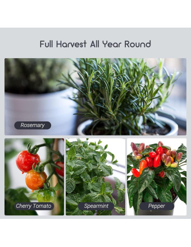 LUXBIRD Combo 2 Pack Alfombrilla Térmica 25.4x52.7cm y Termostato