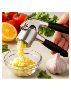 Prensa Picadora de Ajo Casafoyer Acero Inoxidable 238g