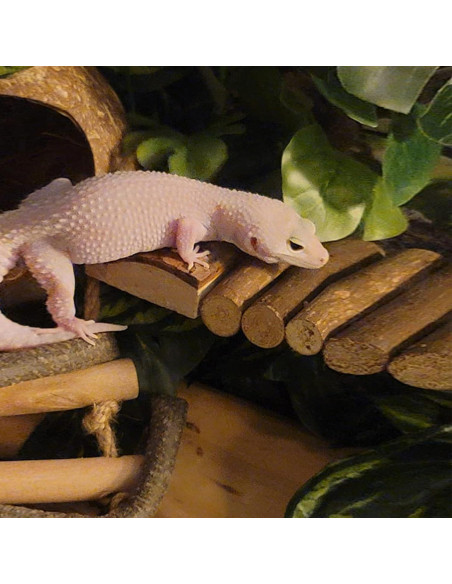 Puente de Escalera de Madera Natural para Hámster y Mascotas