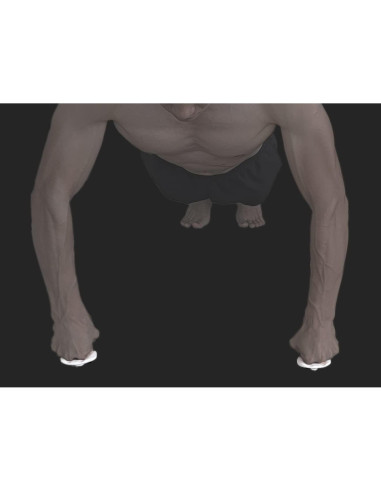 Almohadilla de Flexiones NIOZTAR para Fuerza de Brazo y Muñeca